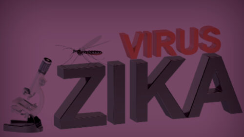 A graphic with a mosquito and Zika Virus in text.
