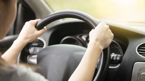A person holding a steering wheel